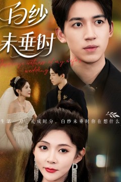 老婆婚礼我当证婚人(白纱未垂时)