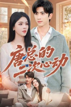 唐总的二次心动