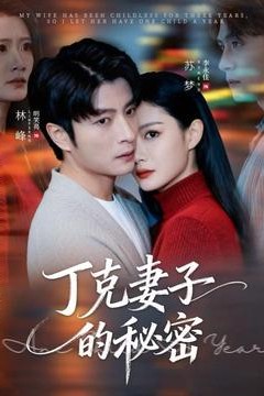 丁克妻子的秘密