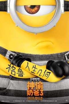 神偷奶爸3国语4K