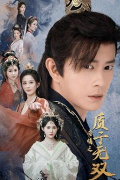 夺嫡之质子无双