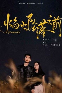 焰火坠落之前