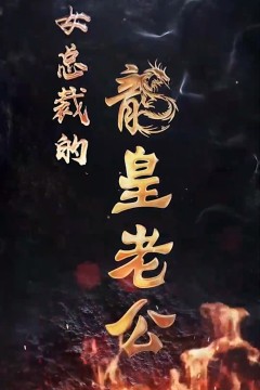 女总裁的龙皇老公