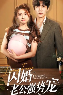 闪婚老公强势宠