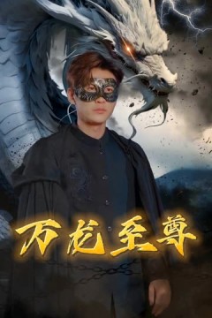万龙至尊