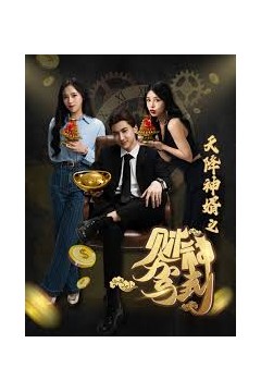 天降神婿之财神驾到