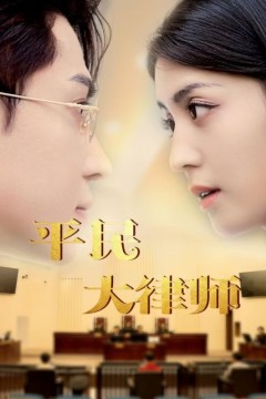 平民大律师