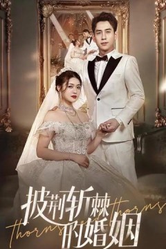 新版：披荆斩棘的婚姻