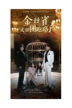 金丝雀又组团跑路了