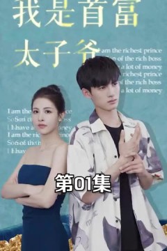 我是首富太子爷