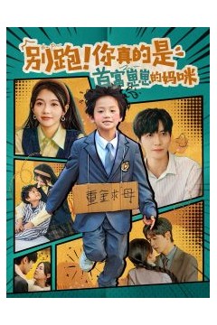 别跑你真的是首富崽崽的妈咪