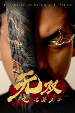 无双之最强老爸