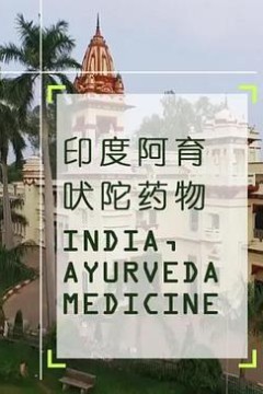 印度阿育吠陀药物