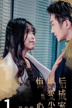 悔婚后，我变成陆总的心尖宠