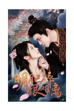 明月已碎恨难离