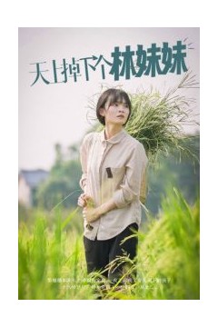 天上掉下个林妹妹短剧