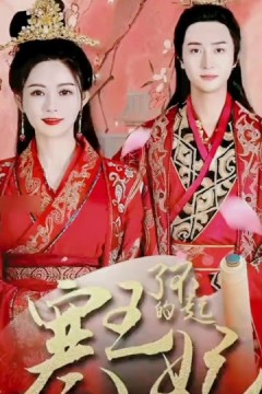 了不起的寒王妃