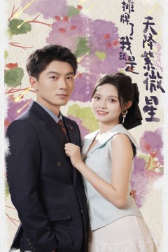 摊牌了我就是天降紫微星