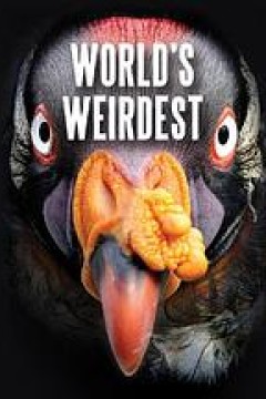 奇形怪物第一季