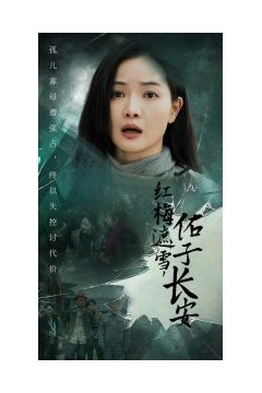 红梅遮雪佑子长安