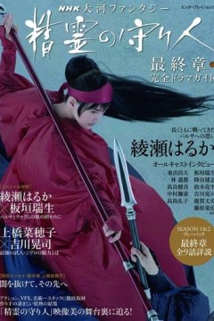 精灵守护者最终章