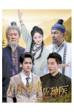 天降娇妻是神医