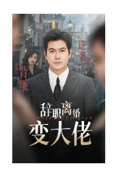 辞职离婚变大佬