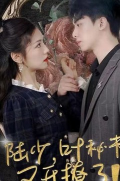 陆少，叶秘书又开撩了