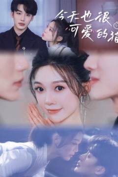 今天也很可爱的猫