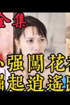 小强闯花都崛起逍遥路