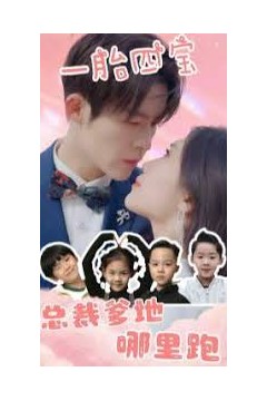 一胎四宝：总裁爹地哪里逃