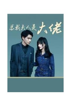 总裁夫人是大佬