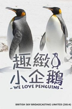 我们爱企鹅