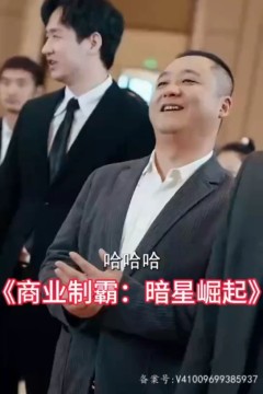 商业制霸：暗星崛起