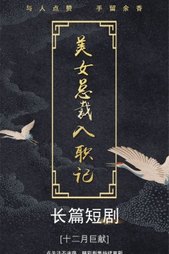 美女总裁入职记