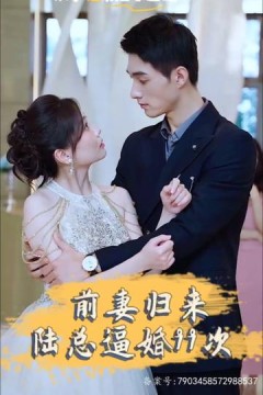 前妻归来陆总逼婚99次