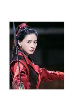 我的老婆是将军