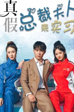 真假总裁夫人来实习