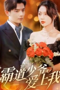 霸道少爷爱上我