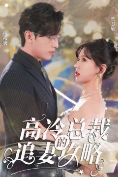 高冷总裁的追妻攻略