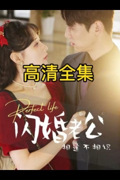 闪婚老公相逢不相识