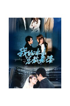 我的冰山总裁老婆