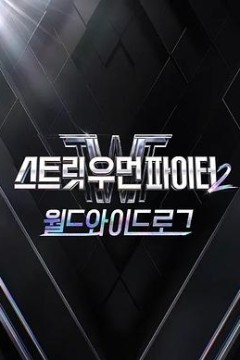 街头女斗士2：全球日志