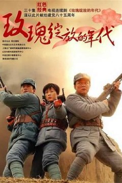 玫瑰绽放的年代