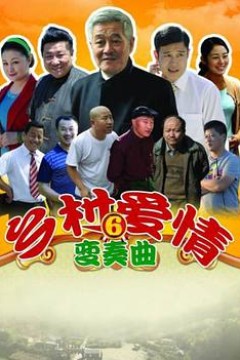 乡村爱情变奏曲