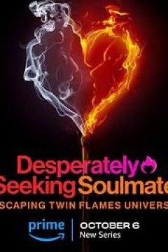 寻找灵魂伴侣：逃离双生火焰宇宙