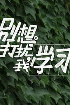 别想打扰我学习