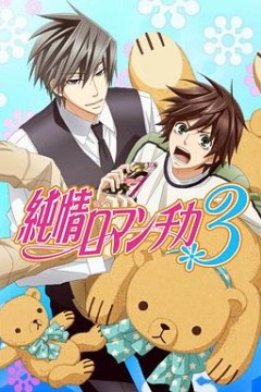 纯情罗曼史第三季