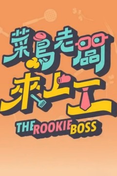 菜鸟老板来上工