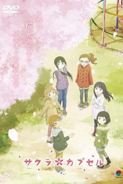 樱花树下的时间胶囊